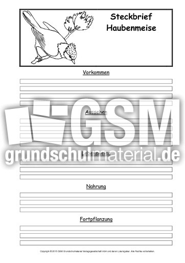 Steckbriefvorlage-Haubenmeise.pdf